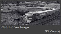 304 rp.png