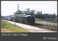 bo85.jpg