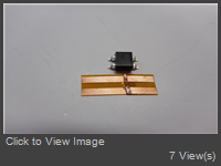 DSCN0447.jpg