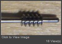 worm-good.jpg
