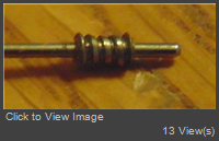 worm-worn.jpg