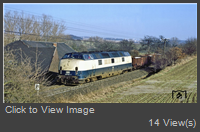 32806.jpg