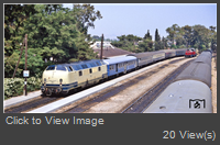 37254.jpg