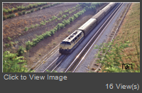 37260.jpg