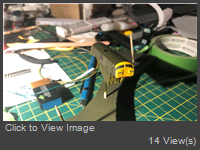 IMG_0501.JPEG