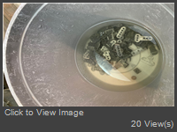 cleaning 2.jpg