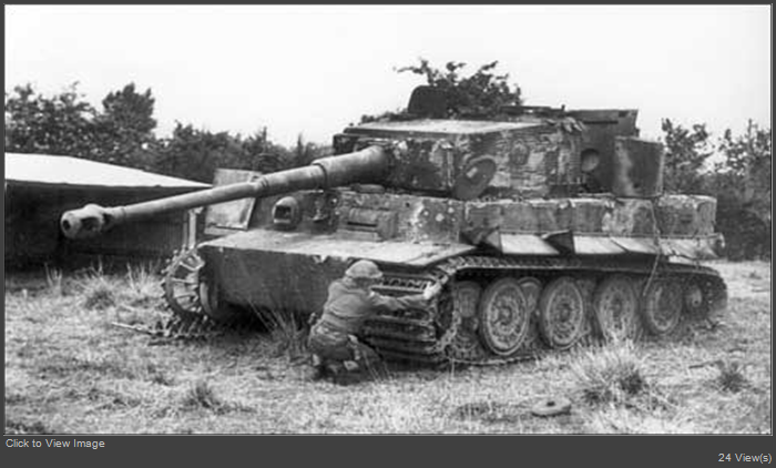 Tiger1_hit_02.jpg