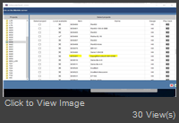 mDT3_39491.JPG