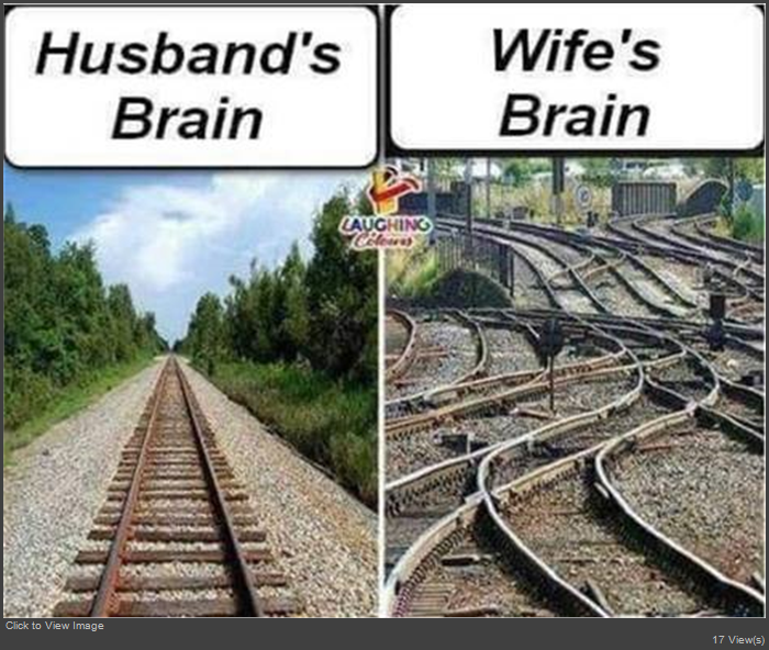 brain.jpg