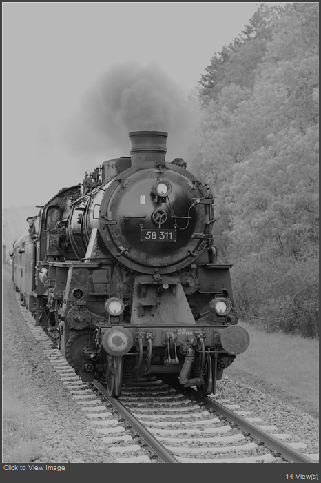 IMG_1638 B&W.jpeg