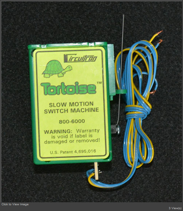 Tortoise1.jpg